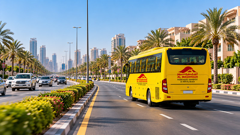 School Bus rental